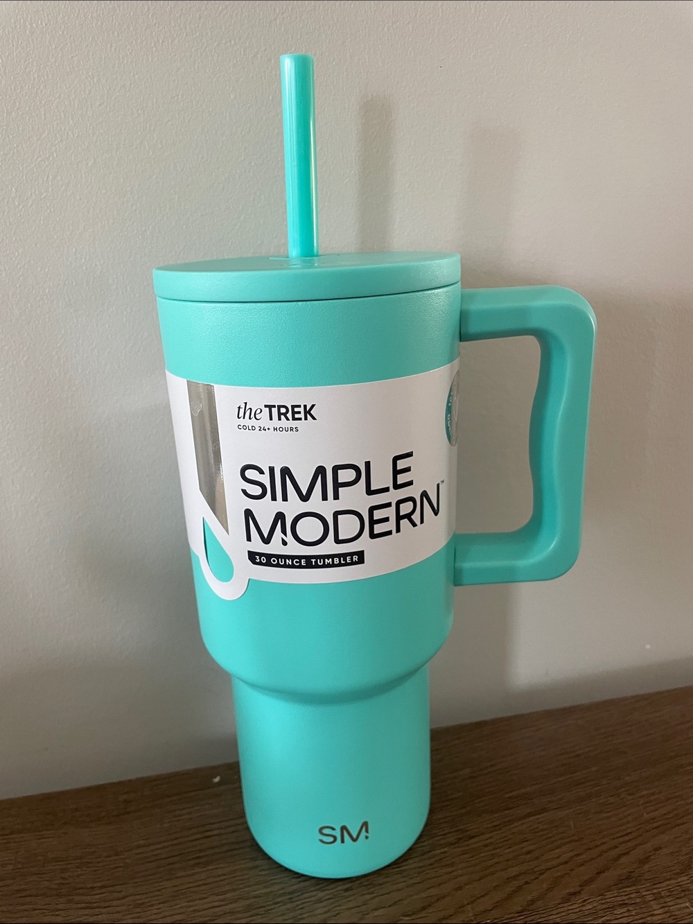 Simple Modern 30oz Tumbler with Handle and Straw - Aqua